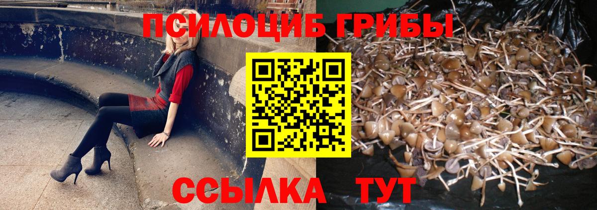 Псилоцибиновые грибы мухоморы  Вход с VPN  Калач-на-Дону 